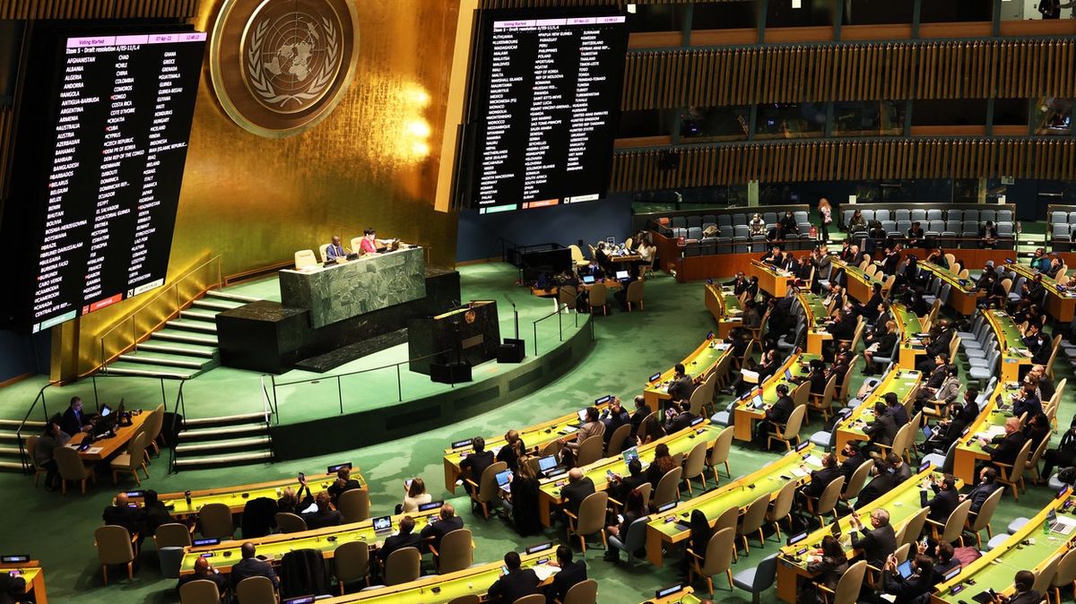 Rusko usiluje o návrat do Rady pro lidská práva OSN. Za podporu nabízí zbraně